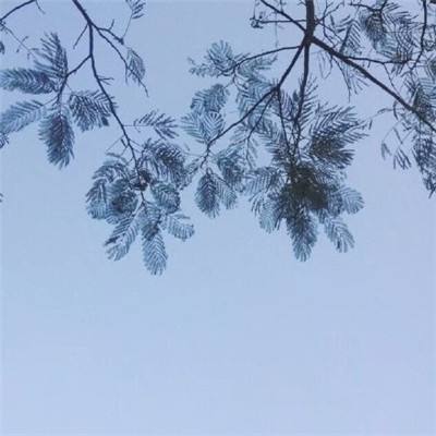 超级飞拳最新版(暂未上线)v1.0 安卓版